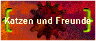 Katzen und Freunde